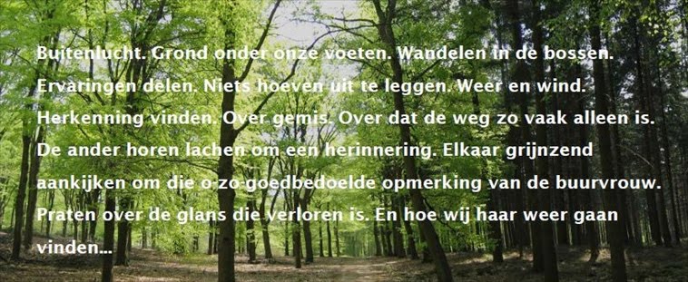Uitsnede website JWW 758px
